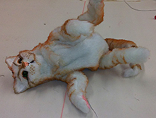 Photo of cat puppet