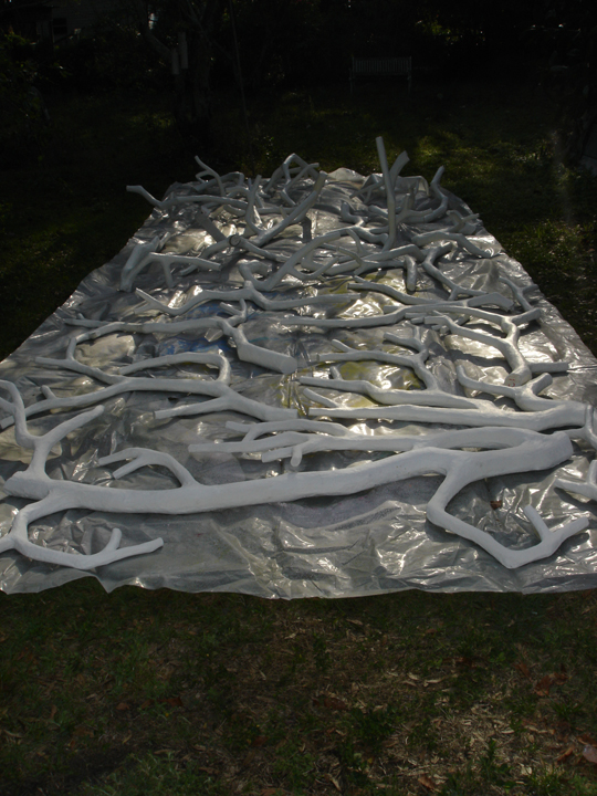 branches on plastic backlit