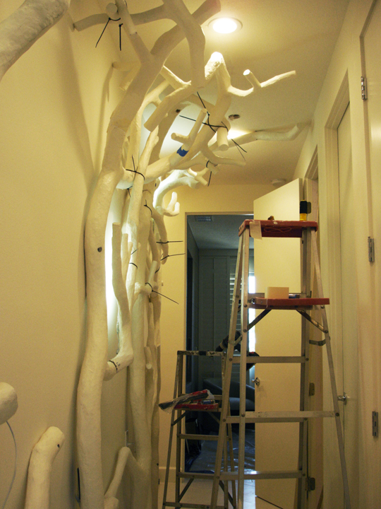 Tree C and D in hallway